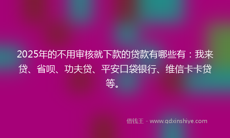 2025年的不用审核就下款的贷款有哪些有：我来贷、省呗、功夫贷、平安口袋银行、维信卡卡贷等。