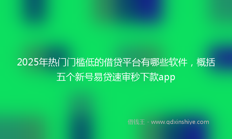 2025年热门门槛低的借贷平台有哪些软件，概括五个新号易贷速审秒下款app