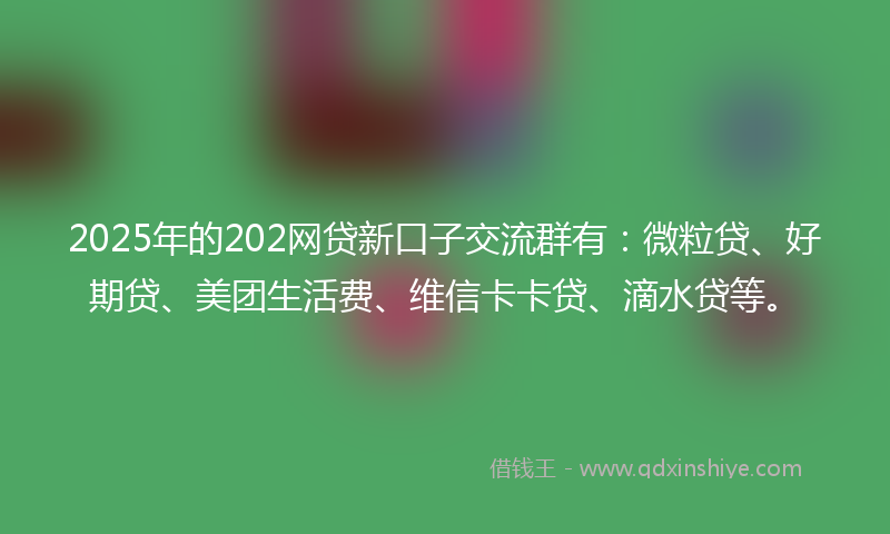 2025年的202网贷新口子交流群有：微粒贷、好期贷、美团生活费、维信卡卡贷、滴水贷等。