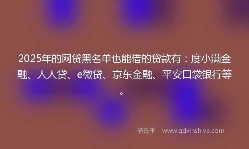2025年的网贷黑名单也能借的贷款有：度小满金融、人人贷、e微贷、京东金融、平安口袋银行等。