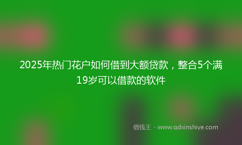 2025年热门花户如何借到大额贷款，整合5个满19岁可以借款的软件