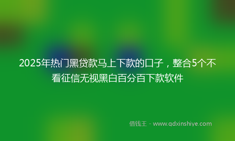 2025年热门黑贷款马上下款的口子，整合5个不看征信无视黑白百分百下款软件