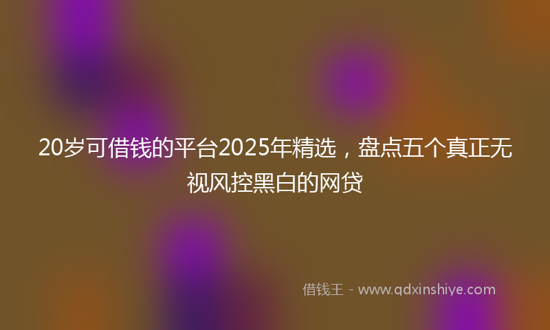20岁可借钱的平台2025年精选，盘点五个真正无视风控黑白的网贷
