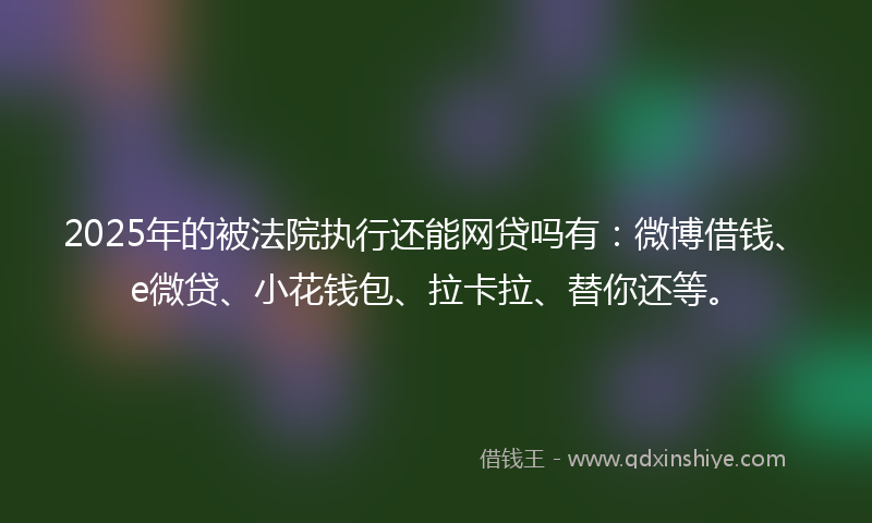 2025年的被法院执行还能网贷吗有：微博借钱、e微贷、小花钱包、拉卡拉、替你还等。