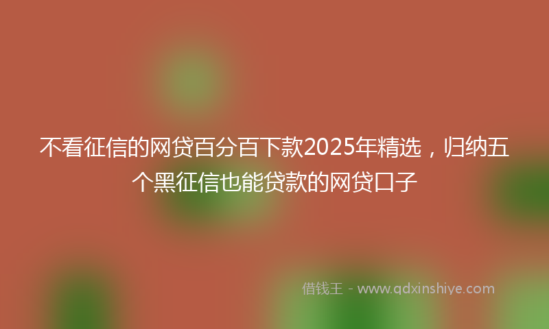不看征信的网贷百分百下款2025年精选，归纳五个黑征信也能贷款的网贷口子