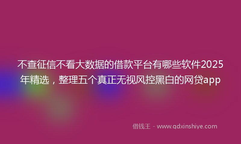不查征信不看大数据的借款平台有哪些软件2025年精选，整理五个真正无视风控黑白的网贷app