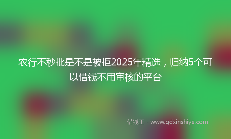 农行不秒批是不是被拒2025年精选，归纳5个可以借钱不用审核的平台