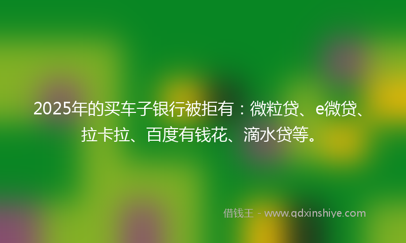 2025年的买车子银行被拒有：微粒贷、e微贷、拉卡拉、百度有钱花、滴水贷等。