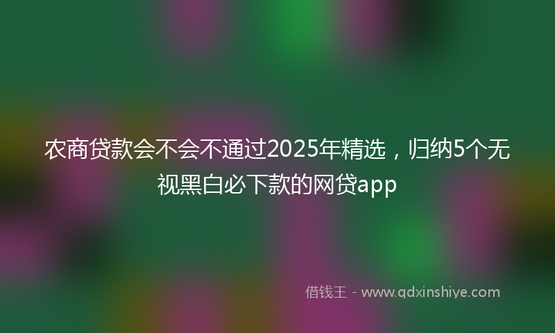 农商贷款会不会不通过2025年精选，归纳5个无视黑白必下款的网贷app