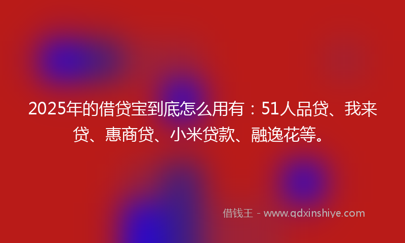 2025年的借贷宝到底怎么用有：51人品贷、我来贷、惠商贷、小米贷款、融逸花等。