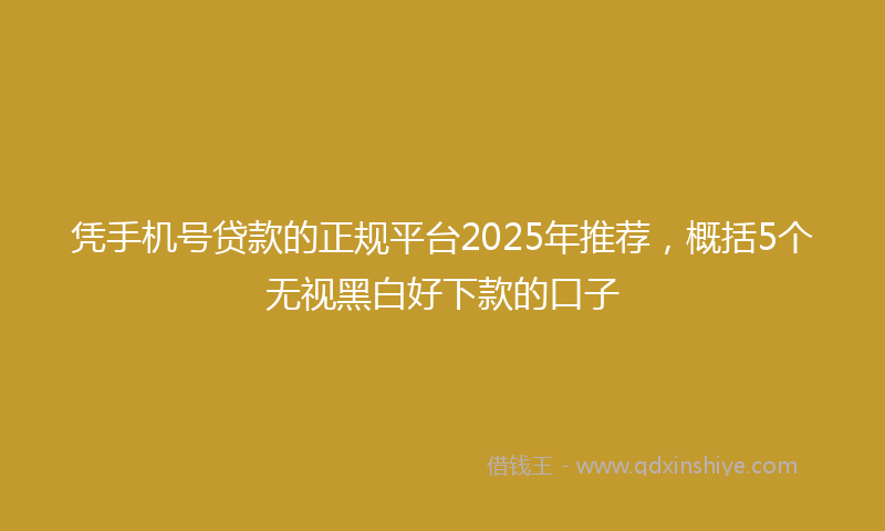 凭手机号贷款的正规平台2025年推荐，概括5个无视黑白好下款的口子