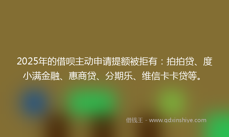 2025年的借呗主动申请提额被拒有：拍拍贷、度小满金融、惠商贷、分期乐、维信卡卡贷等。