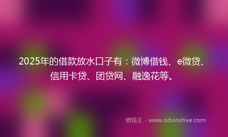 2025年的借款放水口子有：微博借钱、e微贷、信用卡贷、团贷网、融逸花等。