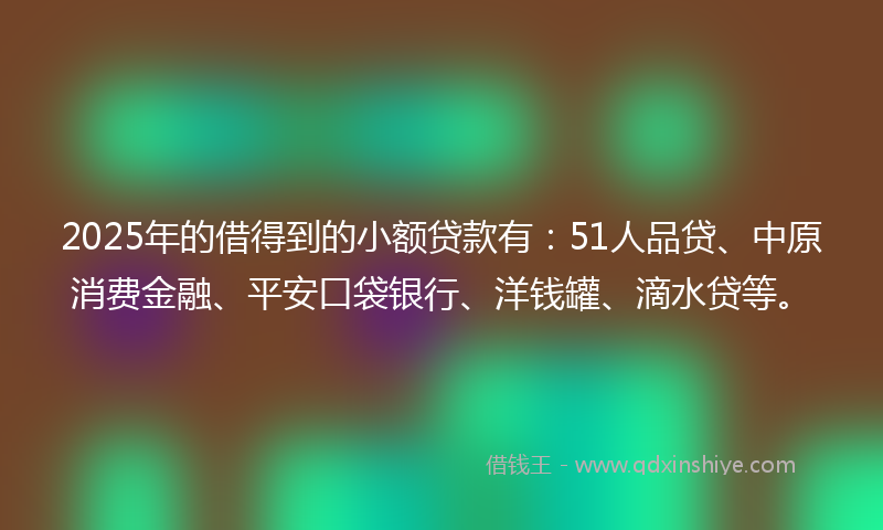 2025年的借得到的小额贷款有：51人品贷、中原消费金融、平安口袋银行、洋钱罐、滴水贷等。