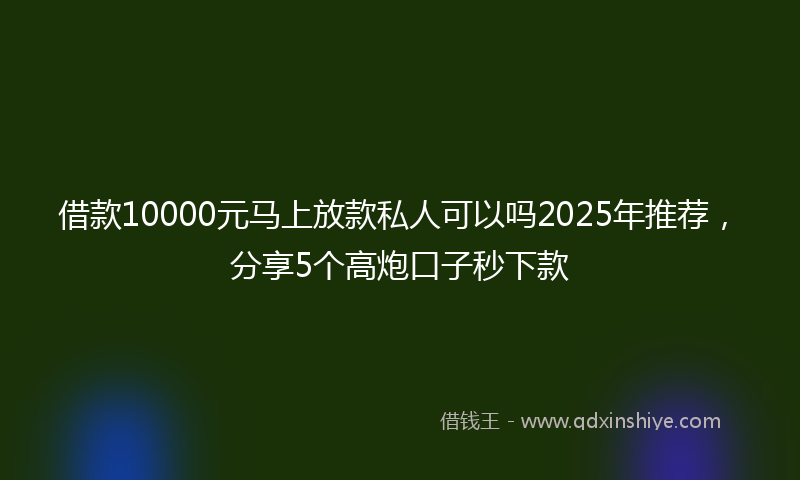 借款10000元马上放款私人可以吗2025年推荐，分享5个高炮口子秒下款