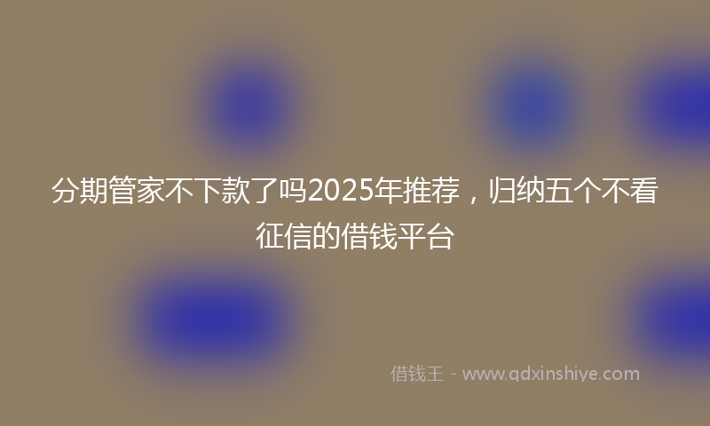 分期管家不下款了吗2025年推荐，归纳五个不看征信的借钱平台
