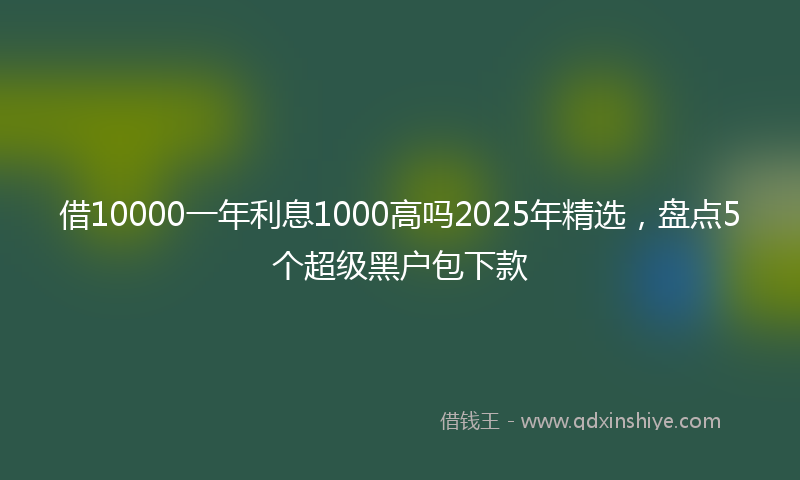 借10000一年利息1000高吗2025年精选，盘点5个超级黑户包下款