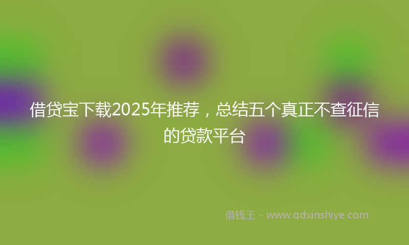 借贷宝下载2025年推荐，总结五个真正不查征信的贷款平台