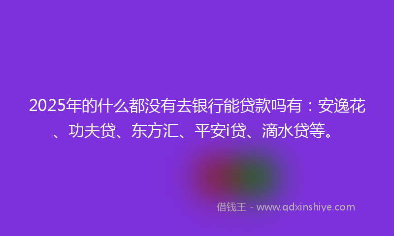 2025年的什么都没有去银行能贷款吗有：安逸花、功夫贷、东方汇、平安i贷、滴水贷等。