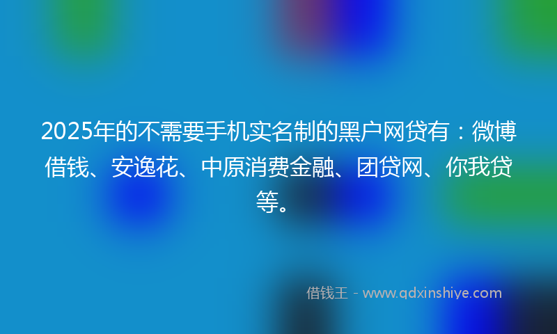 2025年的不需要手机实名制的黑户网贷有：微博借钱、安逸花、中原消费金融、团贷网、你我贷等。