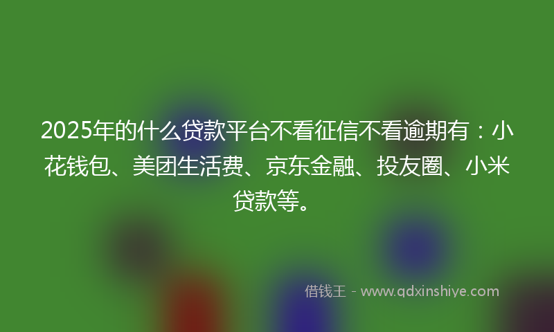 2025年的什么贷款平台不看征信不看逾期有：小花钱包、美团生活费、京东金融、投友圈、小米贷款等。