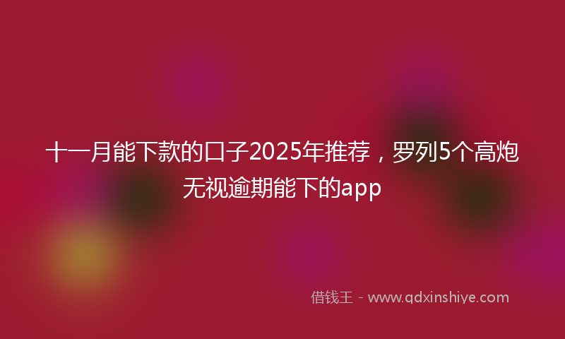 十一月能下款的口子2025年推荐，罗列5个高炮无视逾期能下的app