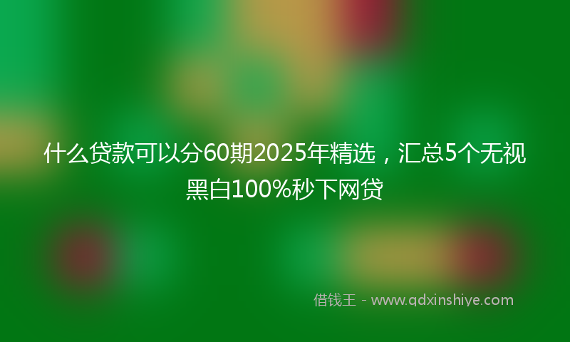 什么贷款可以分60期2025年精选，汇总5个无视黑白100%秒下网贷