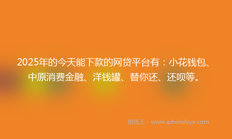 2025年的今天能下款的网贷平台有：小花钱包、中原消费金融、洋钱罐、替你还、还呗等。