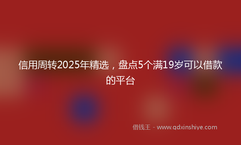 信用周转2025年精选，盘点5个满19岁可以借款的平台