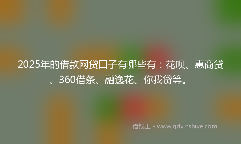 2025年的借款网贷口子有哪些有：花呗、惠商贷、360借条、融逸花、你我贷等。