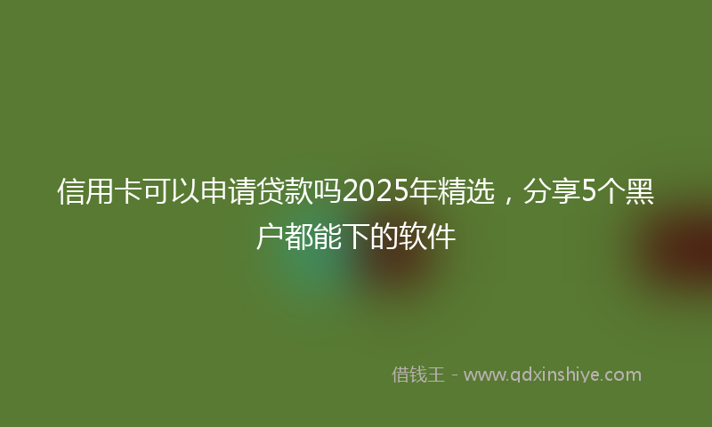 信用卡可以申请贷款吗2025年精选，分享5个黑户都能下的软件