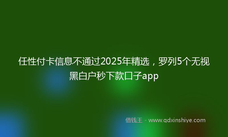 任性付卡信息不通过2025年精选，罗列5个无视黑白户秒下款口子app