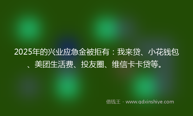2025年的兴业应急金被拒有：我来贷、小花钱包、美团生活费、投友圈、维信卡卡贷等。