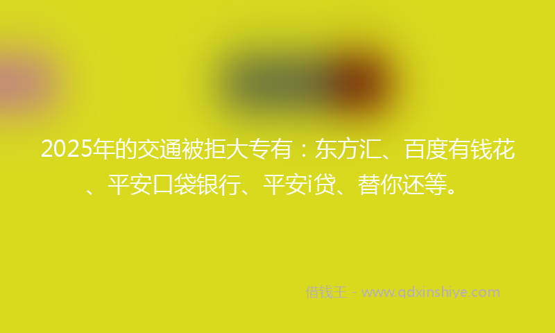 2025年的交通被拒大专有：东方汇、百度有钱花、平安口袋银行、平安i贷、替你还等。