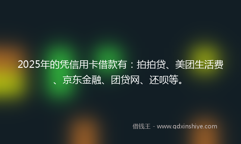 2025年的凭信用卡借款有：拍拍贷、美团生活费、京东金融、团贷网、还呗等。