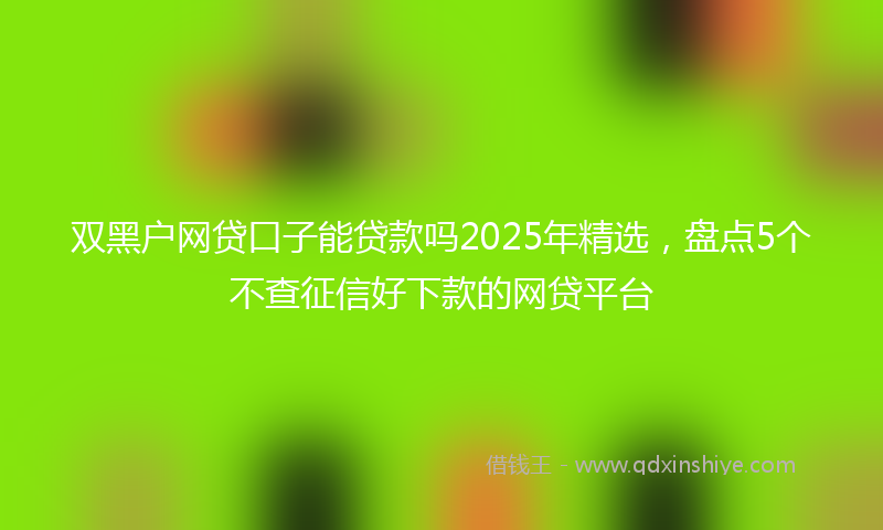 双黑户网贷口子能贷款吗2025年精选，盘点5个不查征信好下款的网贷平台