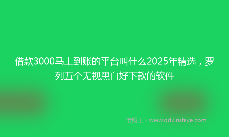 借款3000马上到账的平台叫什么2025年精选，罗列五个无视黑白好下款的软件