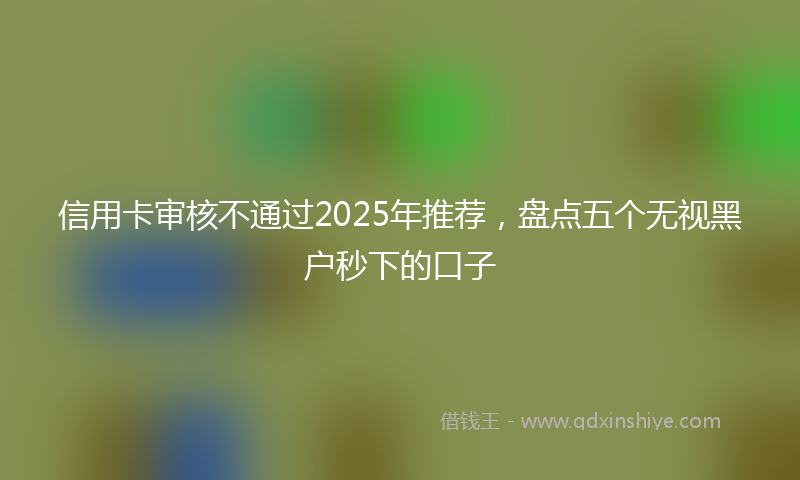 信用卡审核不通过2025年推荐，盘点五个无视黑户秒下的口子