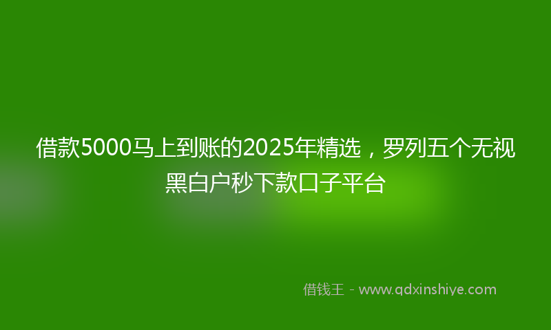 借款5000马上到账的2025年精选，罗列五个无视黑白户秒下款口子平台