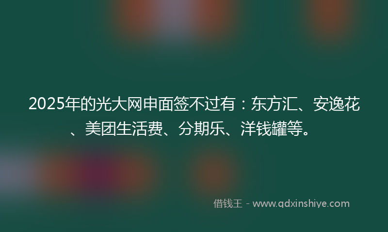 2025年的光大网申面签不过有：东方汇、安逸花、美团生活费、分期乐、洋钱罐等。