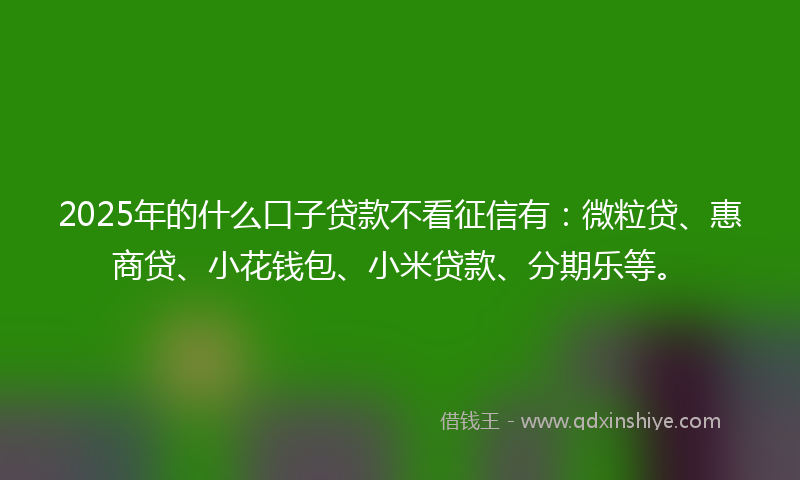 2025年的什么口子贷款不看征信有：微粒贷、惠商贷、小花钱包、小米贷款、分期乐等。
