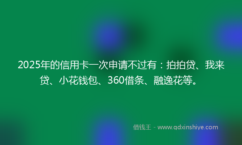 2025年的信用卡一次申请不过有：拍拍贷、我来贷、小花钱包、360借条、融逸花等。