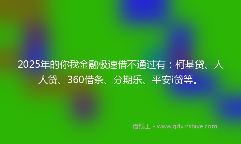 2025年的你我金融极速借不通过有：柯基贷、人人贷、360借条、分期乐、平安i贷等。