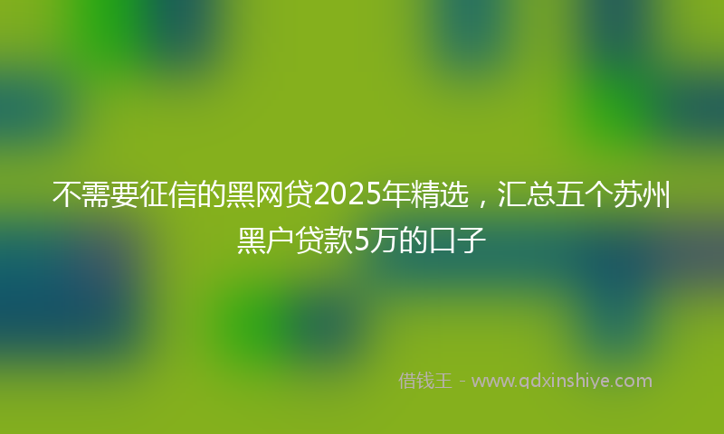 不需要征信的黑网贷2025年精选，汇总五个苏州黑户贷款5万的口子