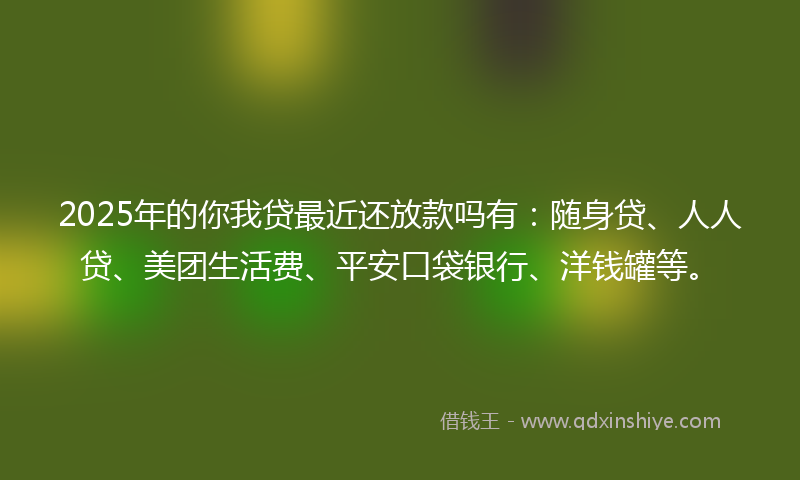 2025年的你我贷最近还放款吗有：随身贷、人人贷、美团生活费、平安口袋银行、洋钱罐等。