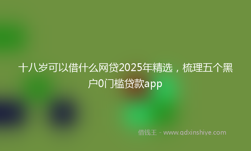 十八岁可以借什么网贷2025年精选，梳理五个黑户0门槛贷款app