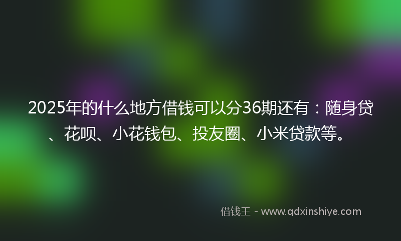 2025年的什么地方借钱可以分36期还有：随身贷、花呗、小花钱包、投友圈、小米贷款等。