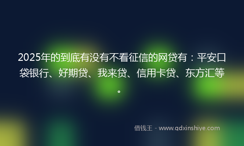 2025年的到底有没有不看征信的网贷有：平安口袋银行、好期贷、我来贷、信用卡贷、东方汇等。