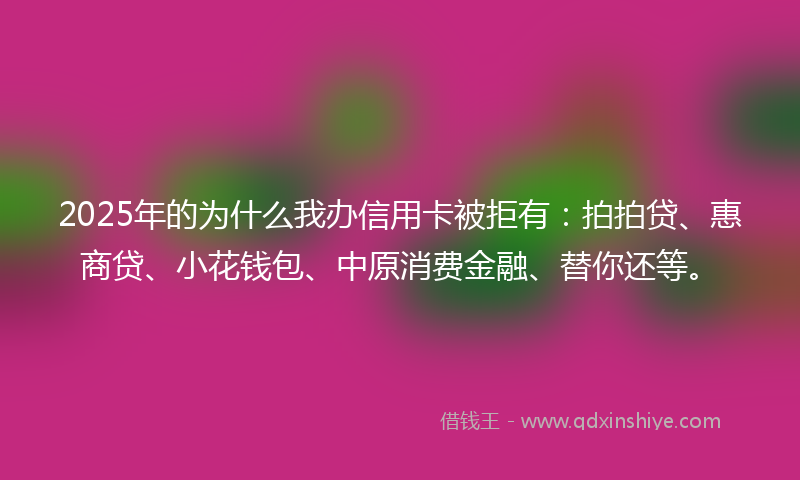 2025年的为什么我办信用卡被拒有：拍拍贷、惠商贷、小花钱包、中原消费金融、替你还等。