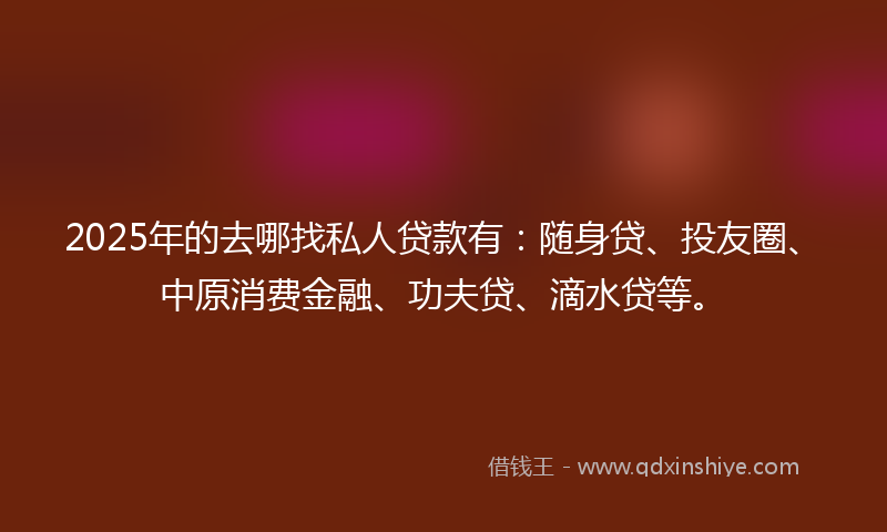 2025年的去哪找私人贷款有：随身贷、投友圈、中原消费金融、功夫贷、滴水贷等。